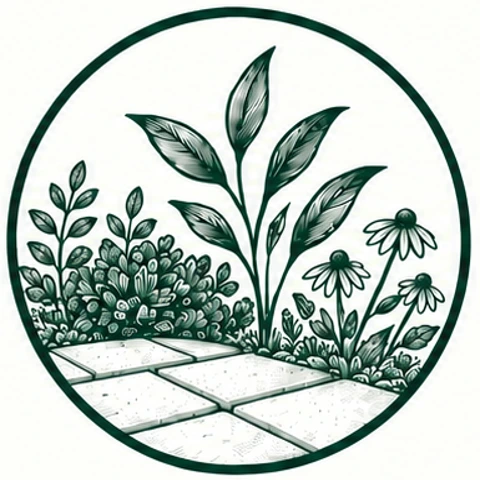 Landscaping illustration